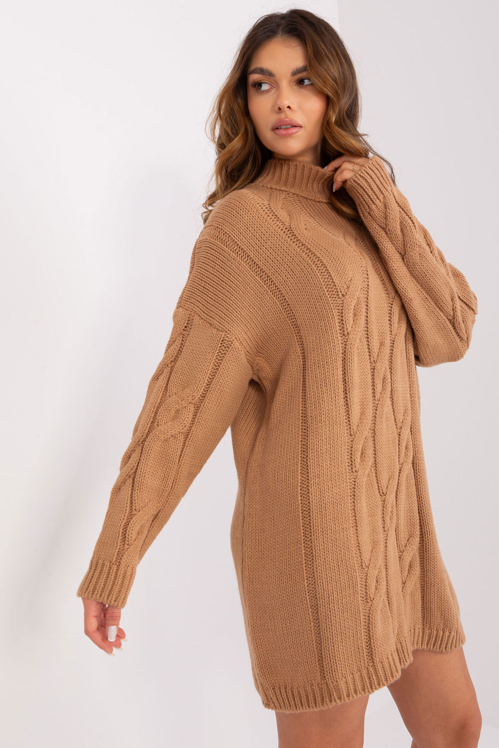 Rue Paris Camel Roll Neck Long Sleeve Dress - view 3