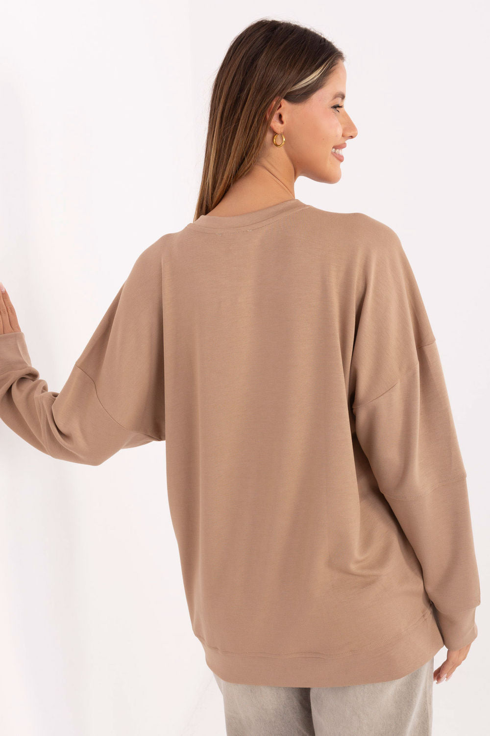 Relevance Dark Beige Long Sleeve Sweatshirt - view 3