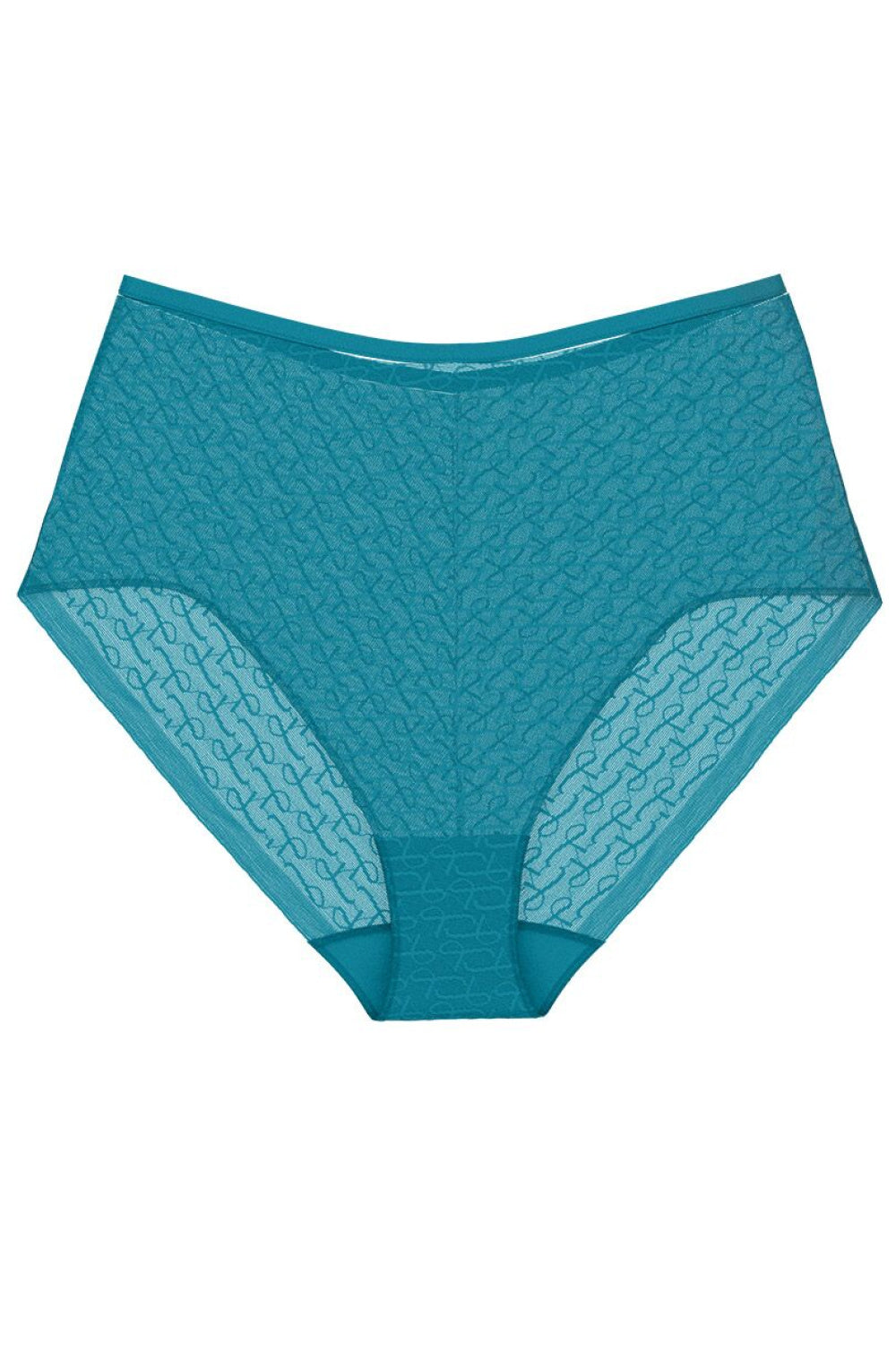 Triumph Signature Sheer Teal Lace High Waisted Knickers - view 4