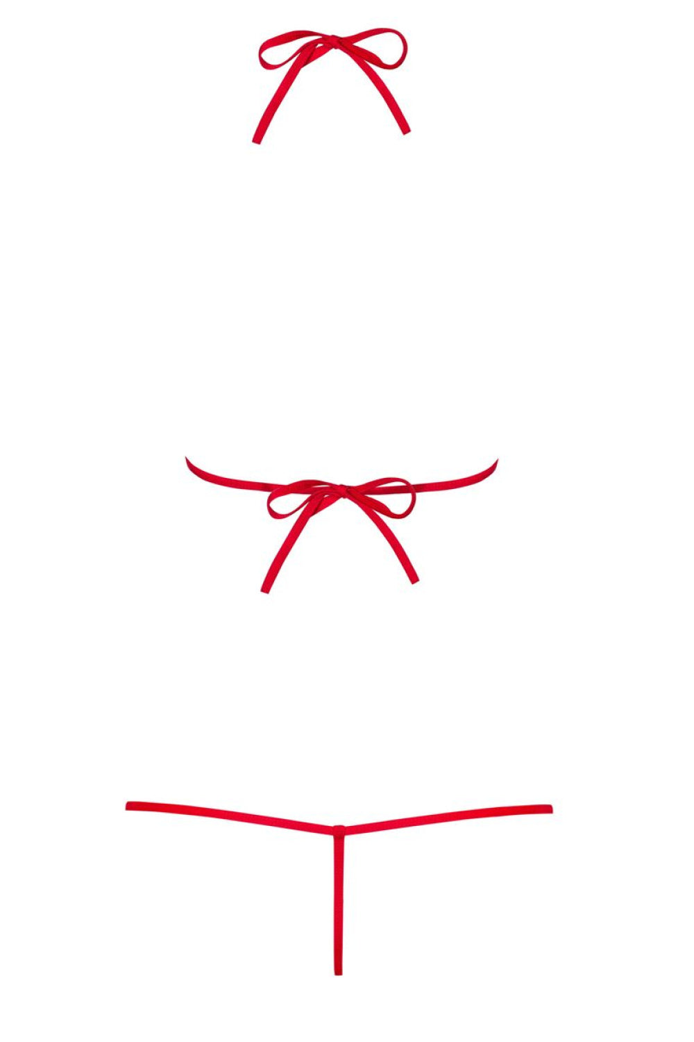 Obsessive Luzia Teddy Red Floral Bodysuit - view 5