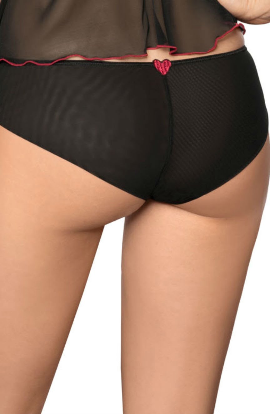 Roza Rubii Black Mesh Briefs