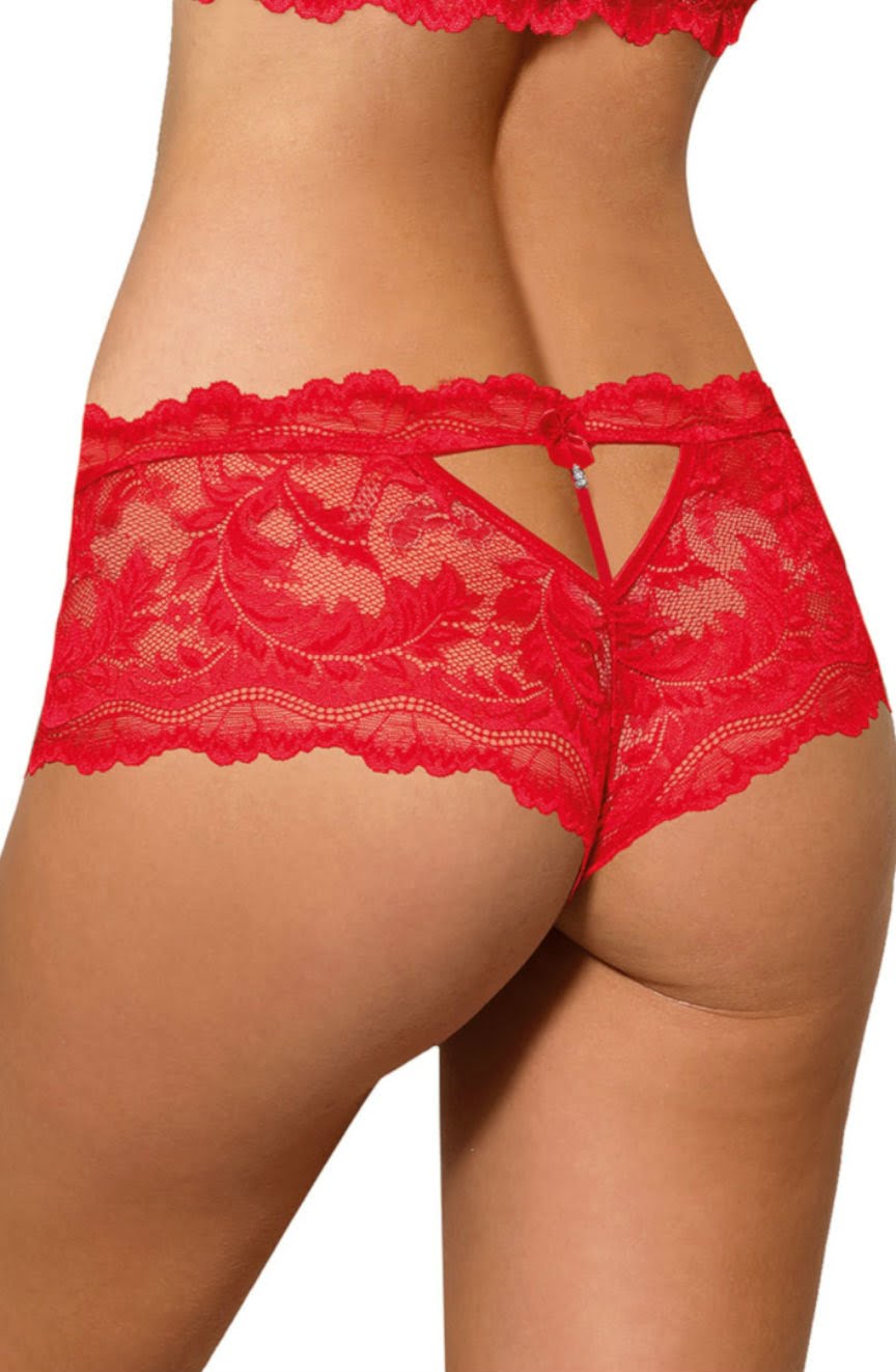 Roza Sefia Red Lace Briefs - view 2
