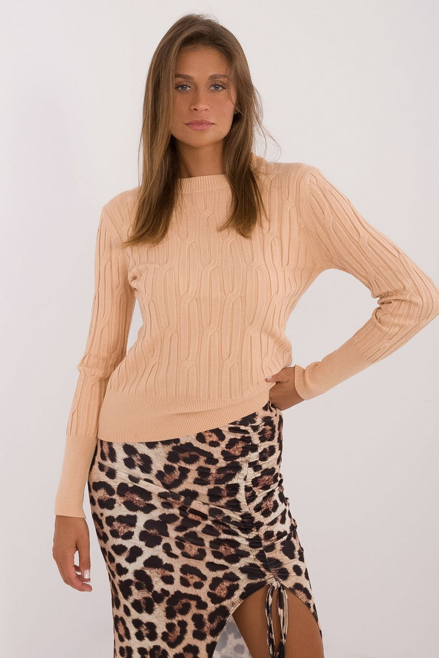 AT Camel Round Neck Long Sleeve Jumper