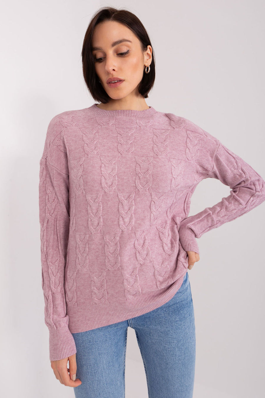 AT Light Violet Round Neck Long Sleeve Jumper