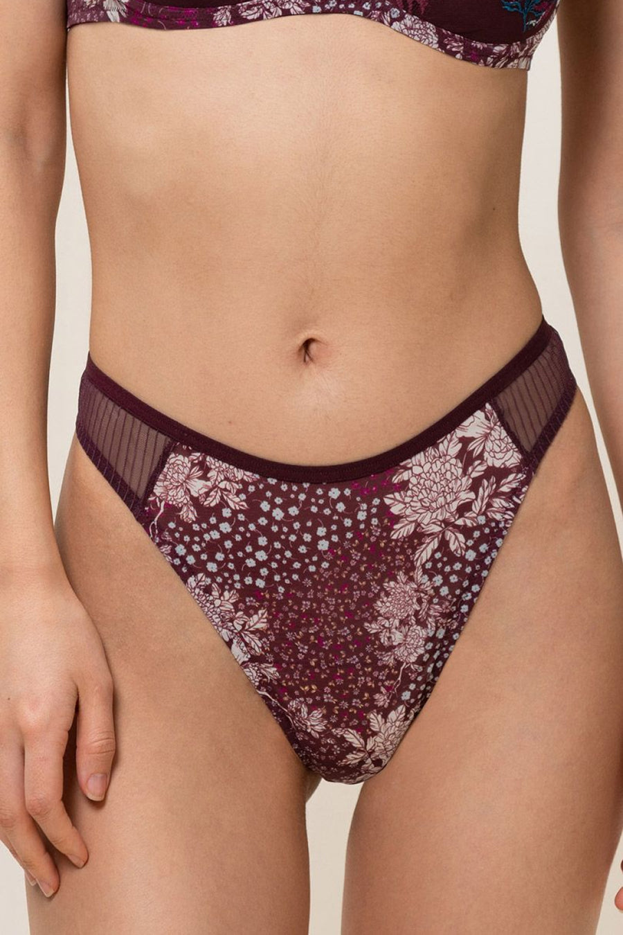 Triumph Plum High Waisted Thong