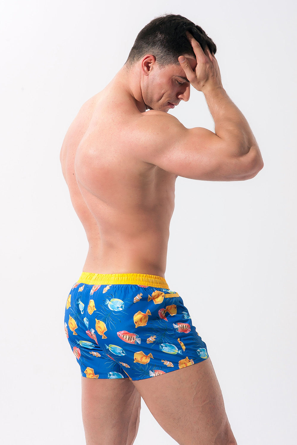 Alpha Male Playo Fish Blue Men's Swim Shorts - view 2