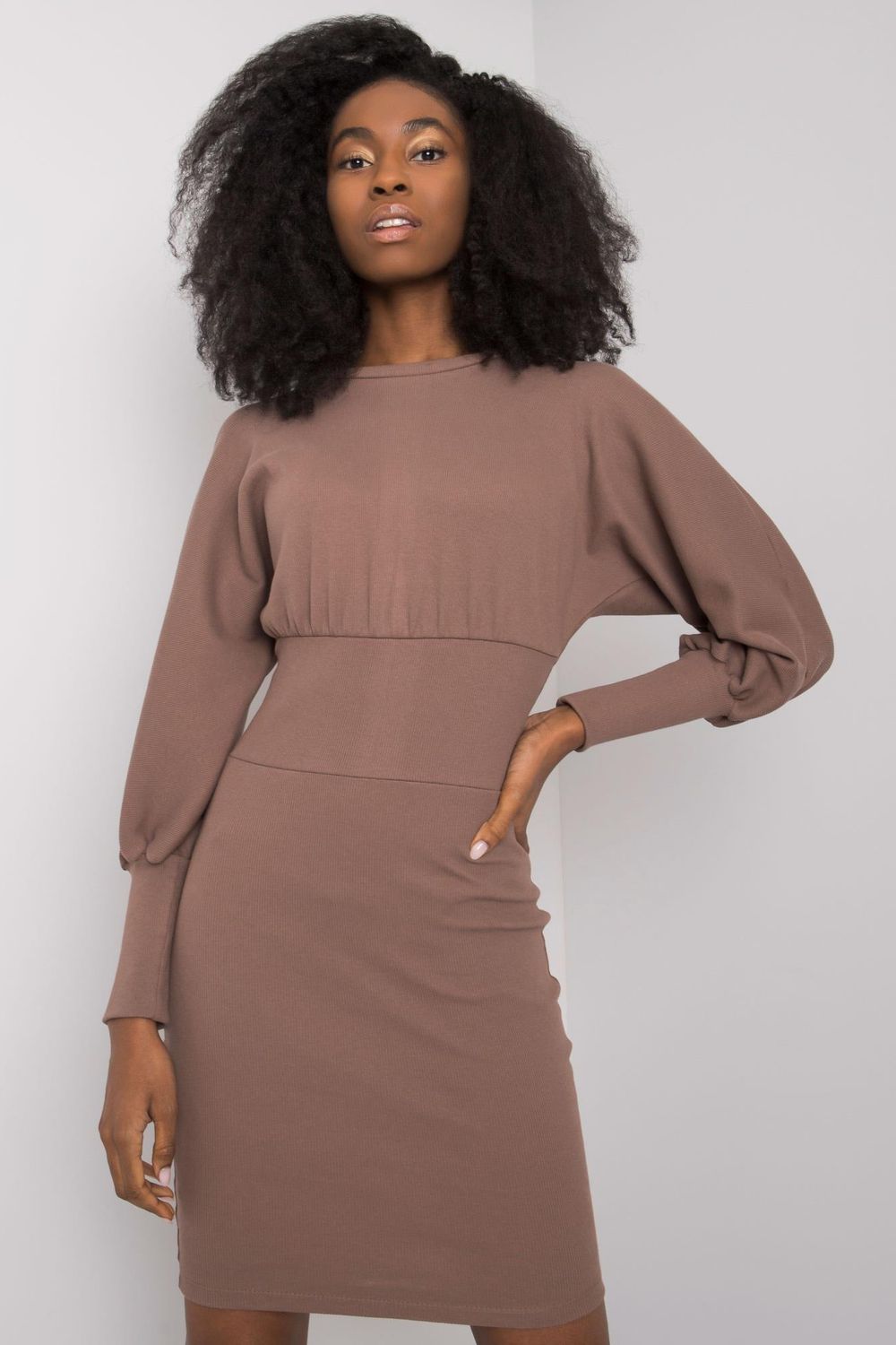Rue Paris Brown Bodycon Long Sleeve Dress