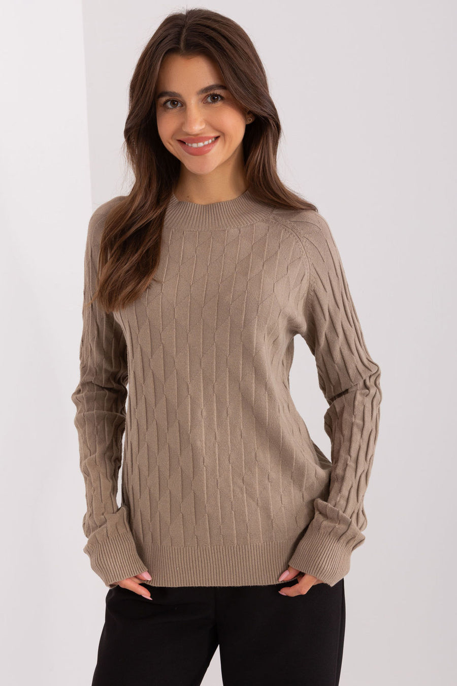 AT Dark Beige Round Neck Long Sleeve Jumper